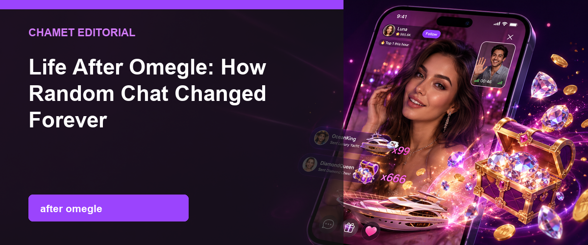 Life After Omegle: How Random Chat Changed overview graphic.